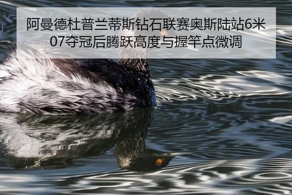 阿曼德杜普兰蒂斯钻石联赛奥斯陆站6米07夺冠后腾跃高度与握竿点微调